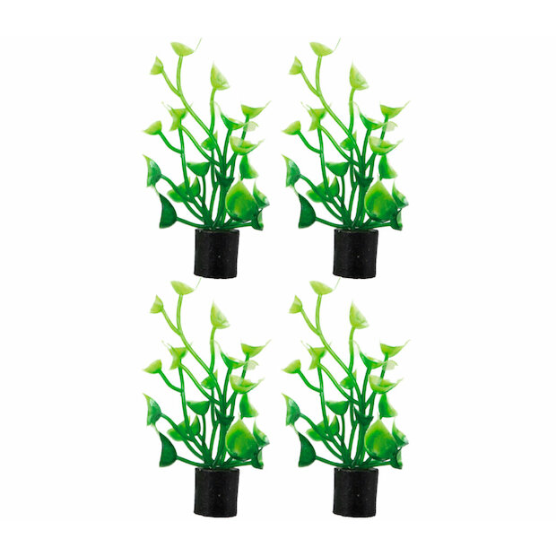Hobby Cardamine mini 4x