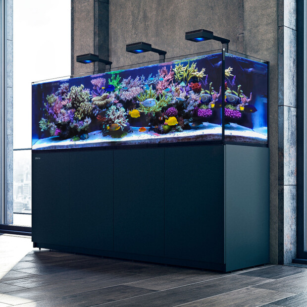 Red Sea Reefer-S 1000 G2+ weiss