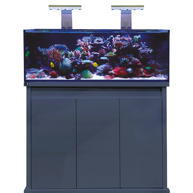 D-D Reef-Pro1200 ANTHRACITE GLOSS - Aquariumsystem