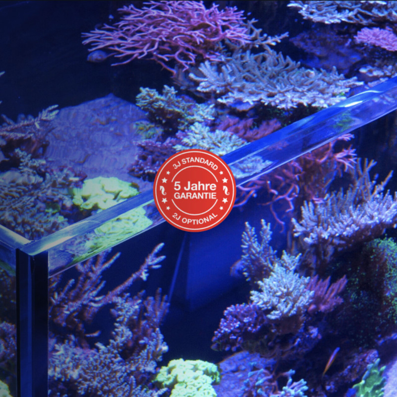 Red Sea Reefer 170 G2+ Deluxe schwarz