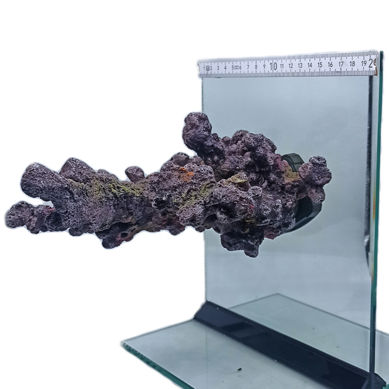 Petonus MagnetScape Marine art 1