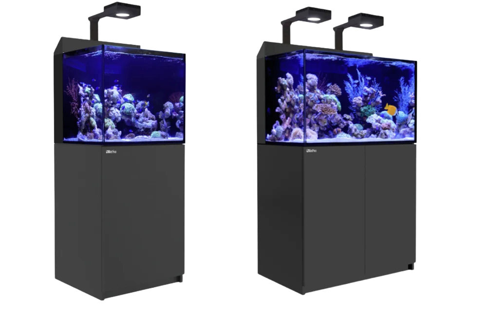 Die Max Nano Systeme