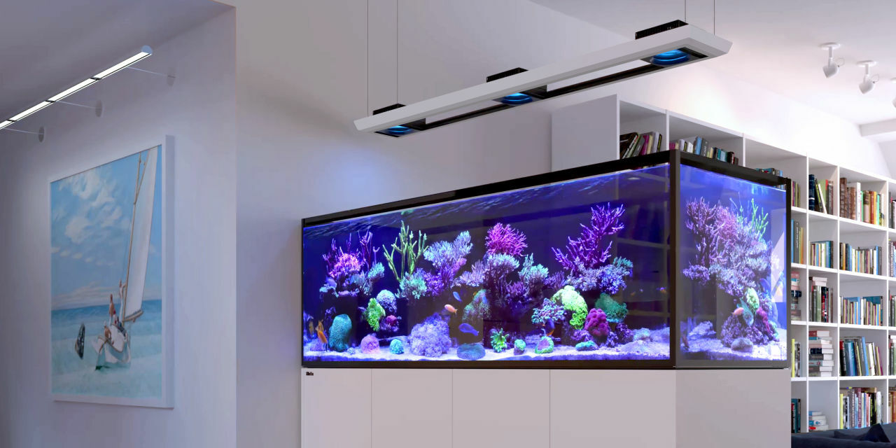 Meerwasseraquarium mit Unterschrank