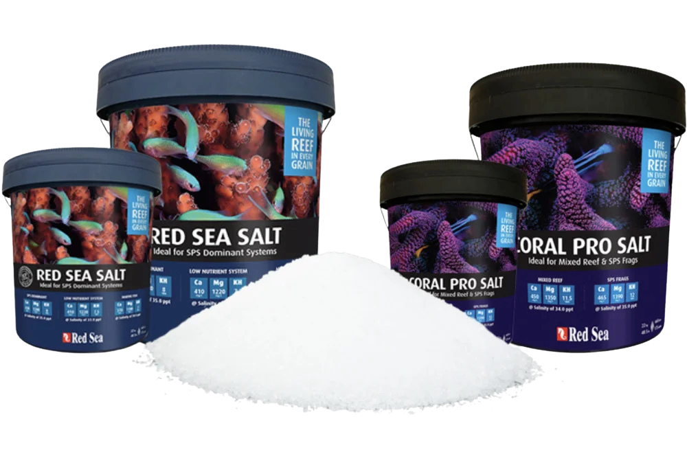 Meersalz von Red Sea für optimale Wasserqualität