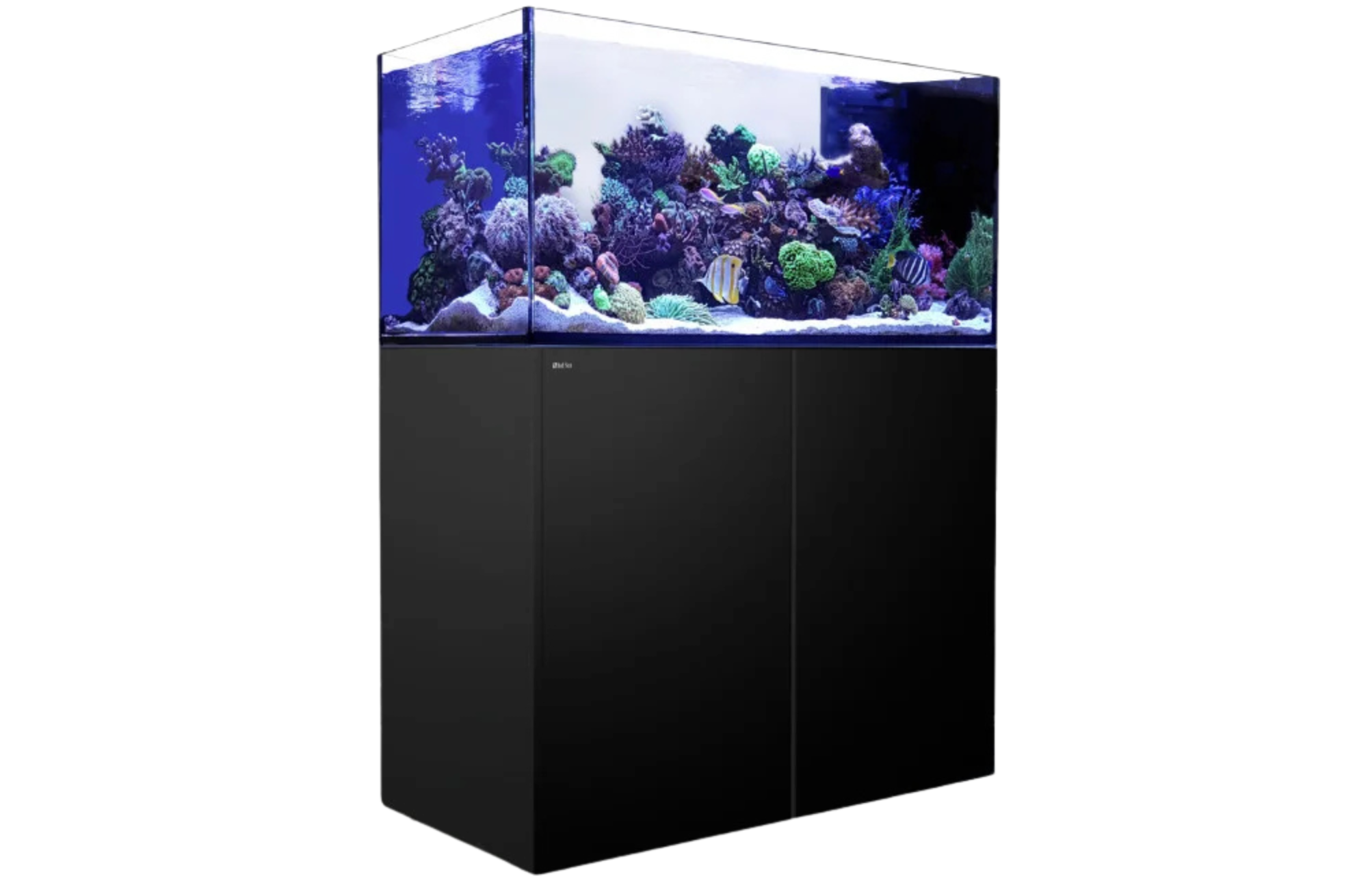 red-sea-reefer-peninsula-500