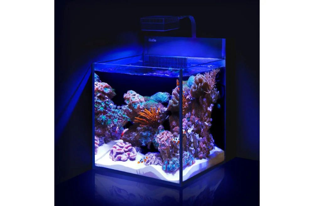 red-sea-max-nano-peninsula-auf-tisch