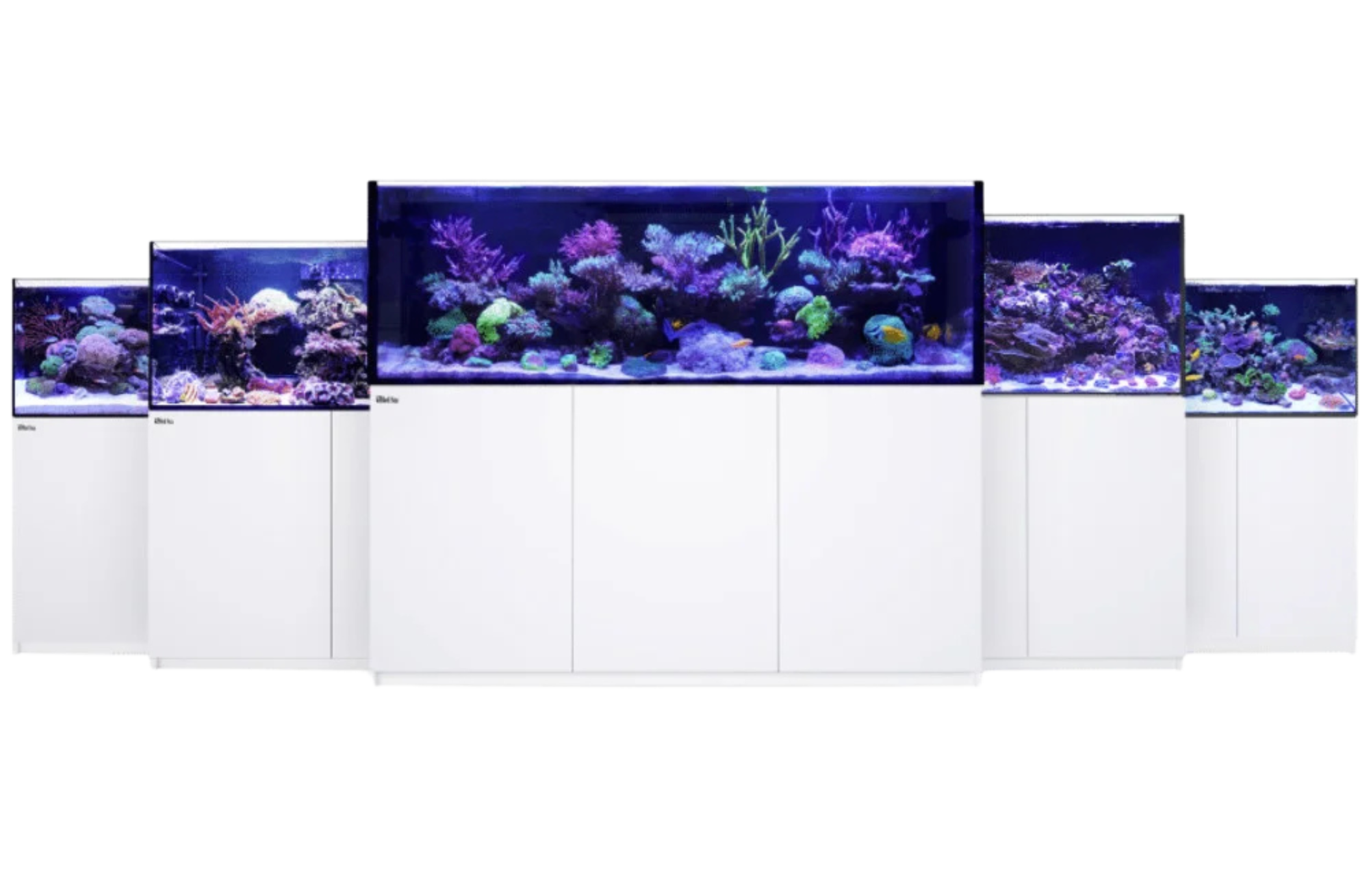 reefer-g2-modelle