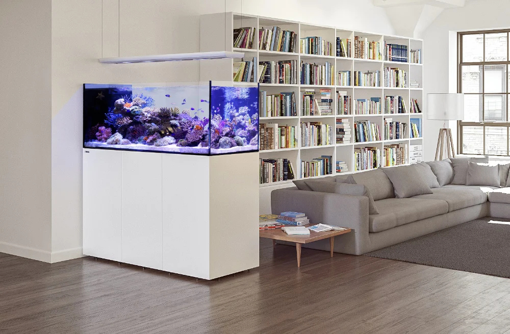 Das REEFER Peninsula G2+ als schöner Raumteiler